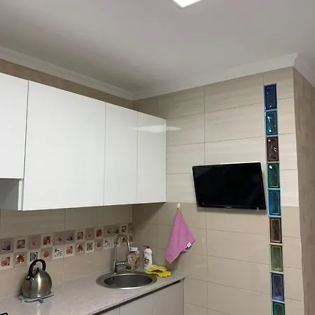 Apartment Flat For A Daily Rent Odesa