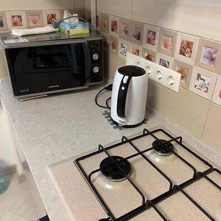 Apartment Flat For A Daily Rent Odesa